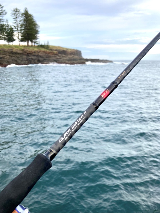 N.S Black Water II Egi Rods
