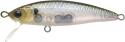 Bevy Minnow in Ghost Minnow